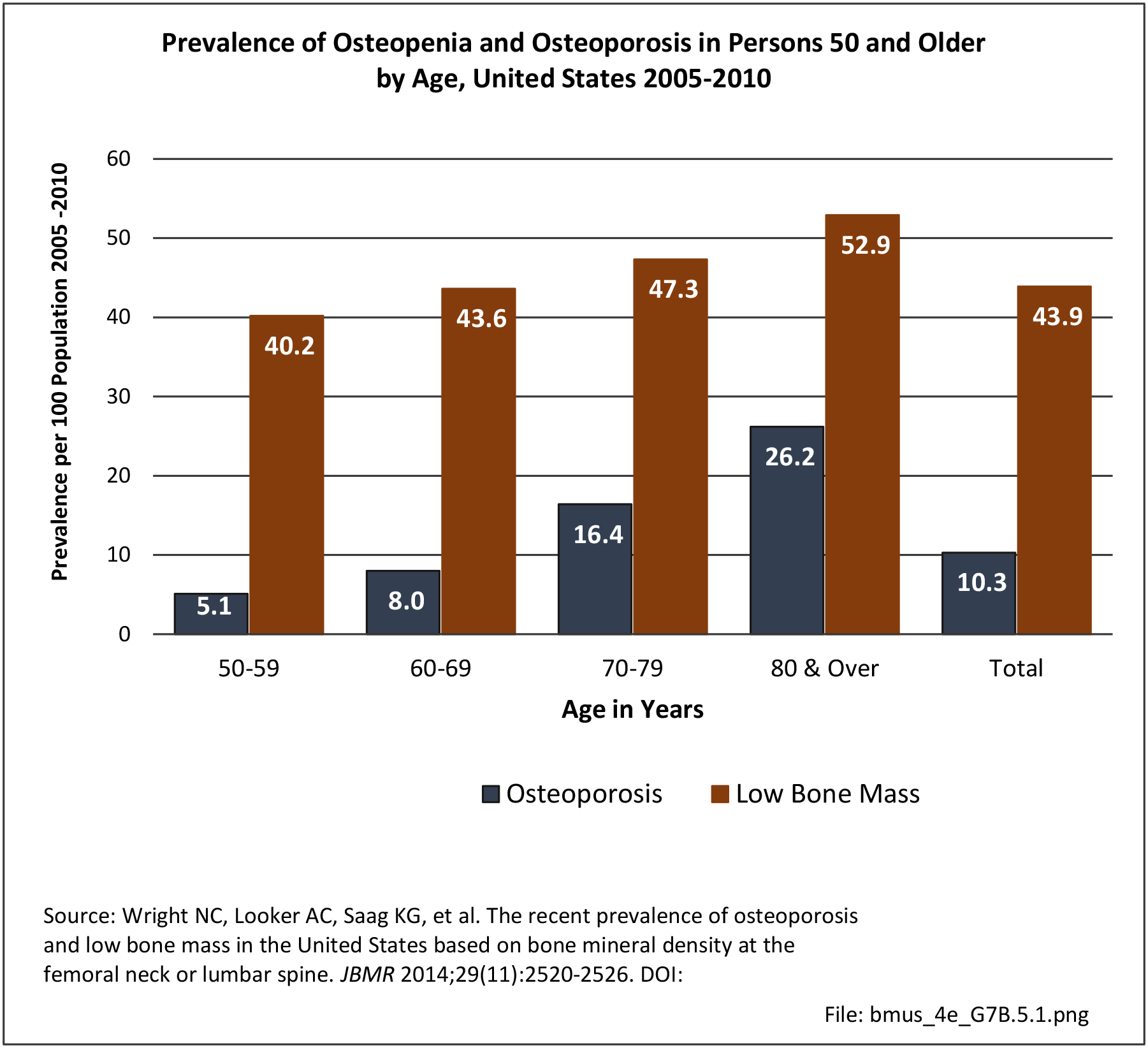 Osteoporosis Aging Population BMUS The Burden of Musculoskeletal Diseases in the United States